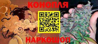 дмт Обь
