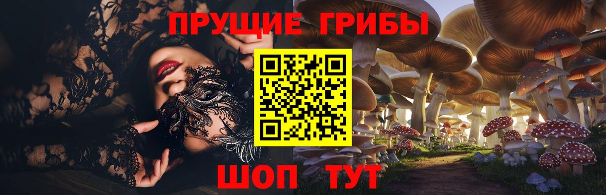 Галлюциногенные грибы прущие грибы Сердобск