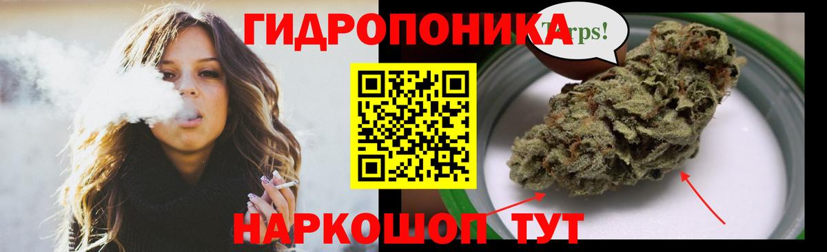 Каннабис Bruce Banner  Каннабис конопля  Каннабис Bruce Banner  Каннабис гибрид  Сердобск  Вход с VPN 